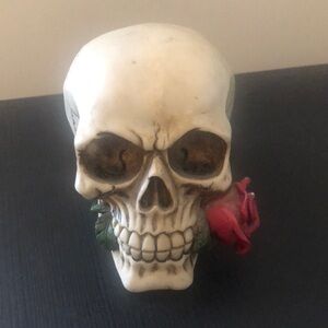 SKULL with ROSE DECOR